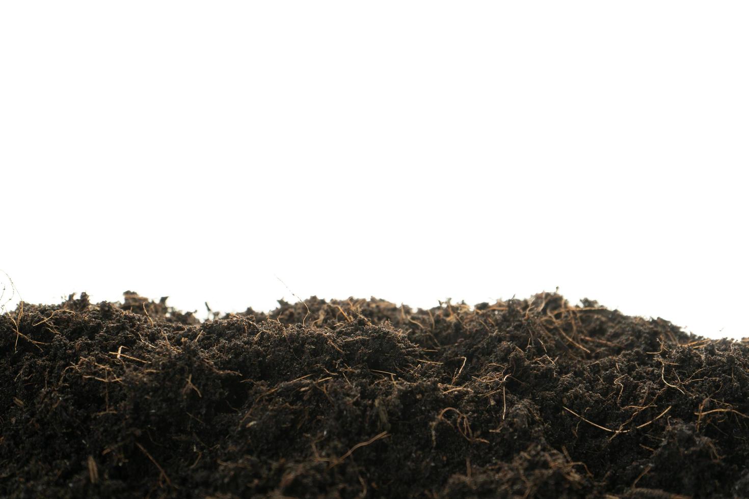 soil isolated on white background photo