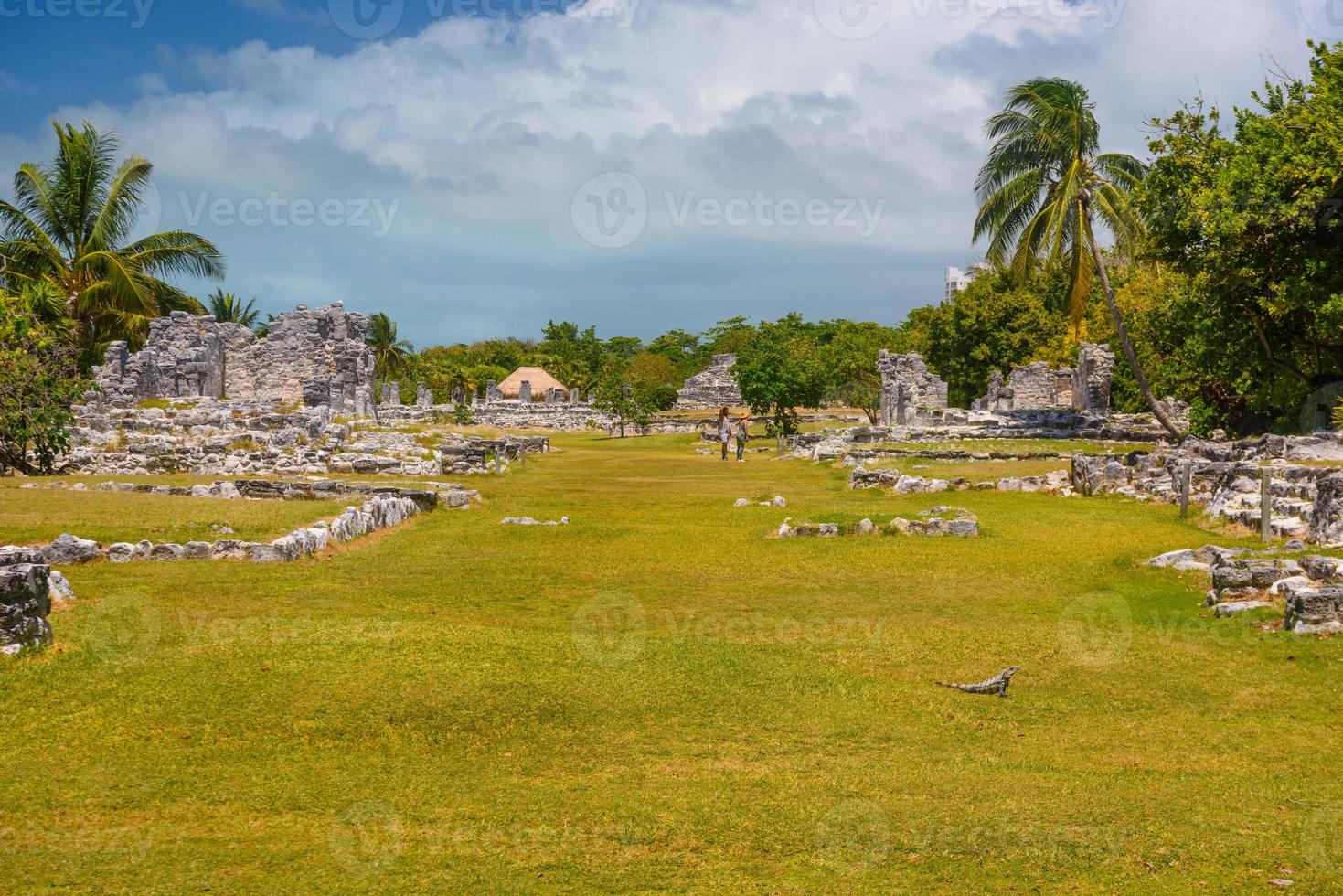 Iguana lizard in ancient ruins of Maya in El Rey Archaeological Zone near Cancun, Yukatan, Mexico photo