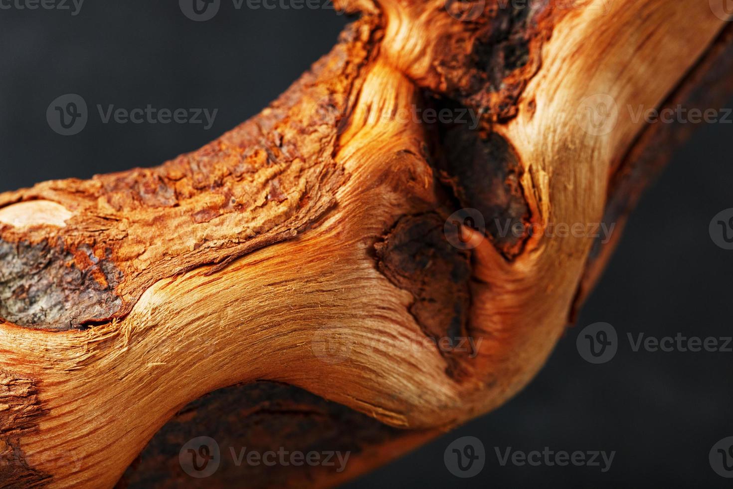 Textured curved Wooden snag of brown color with texture on a black background. photo