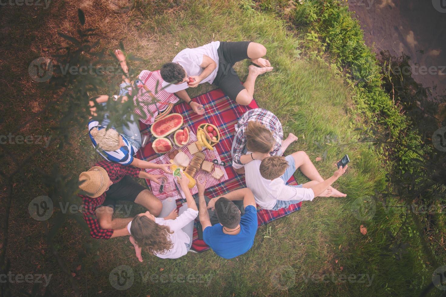 vista superior del grupo de amigos disfrutando del tiempo de picnic foto