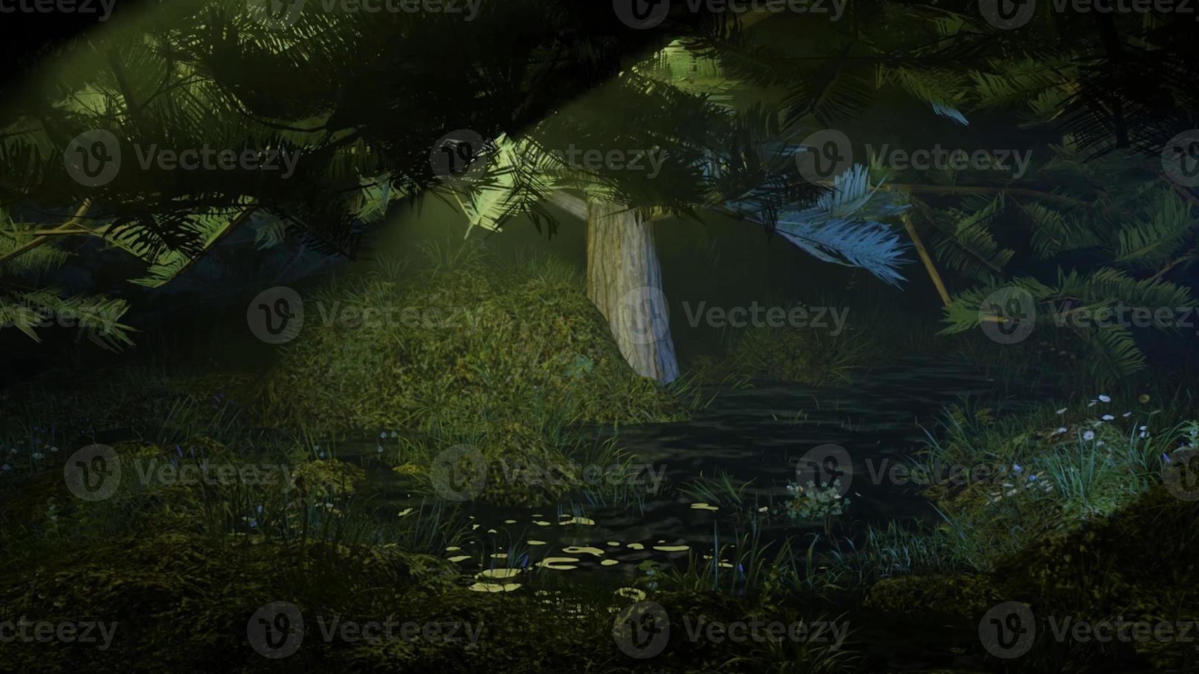 morning mist in the forest - Beautiful landscape - Drawing meadow in tropical forest photo
