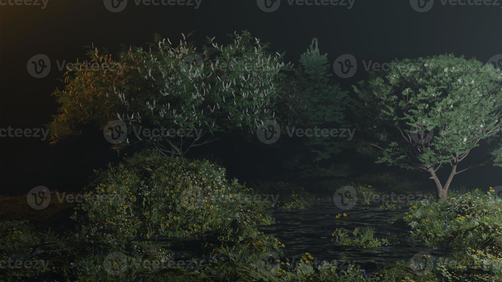 morning mist in the forest - Beautiful landscape - Drawing meadow in tropical forest photo