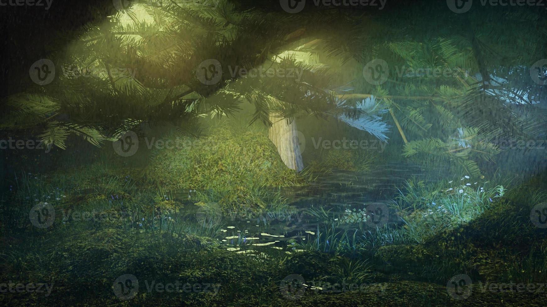 morning mist in the forest - Beautiful landscape - Drawing meadow in tropical forest photo