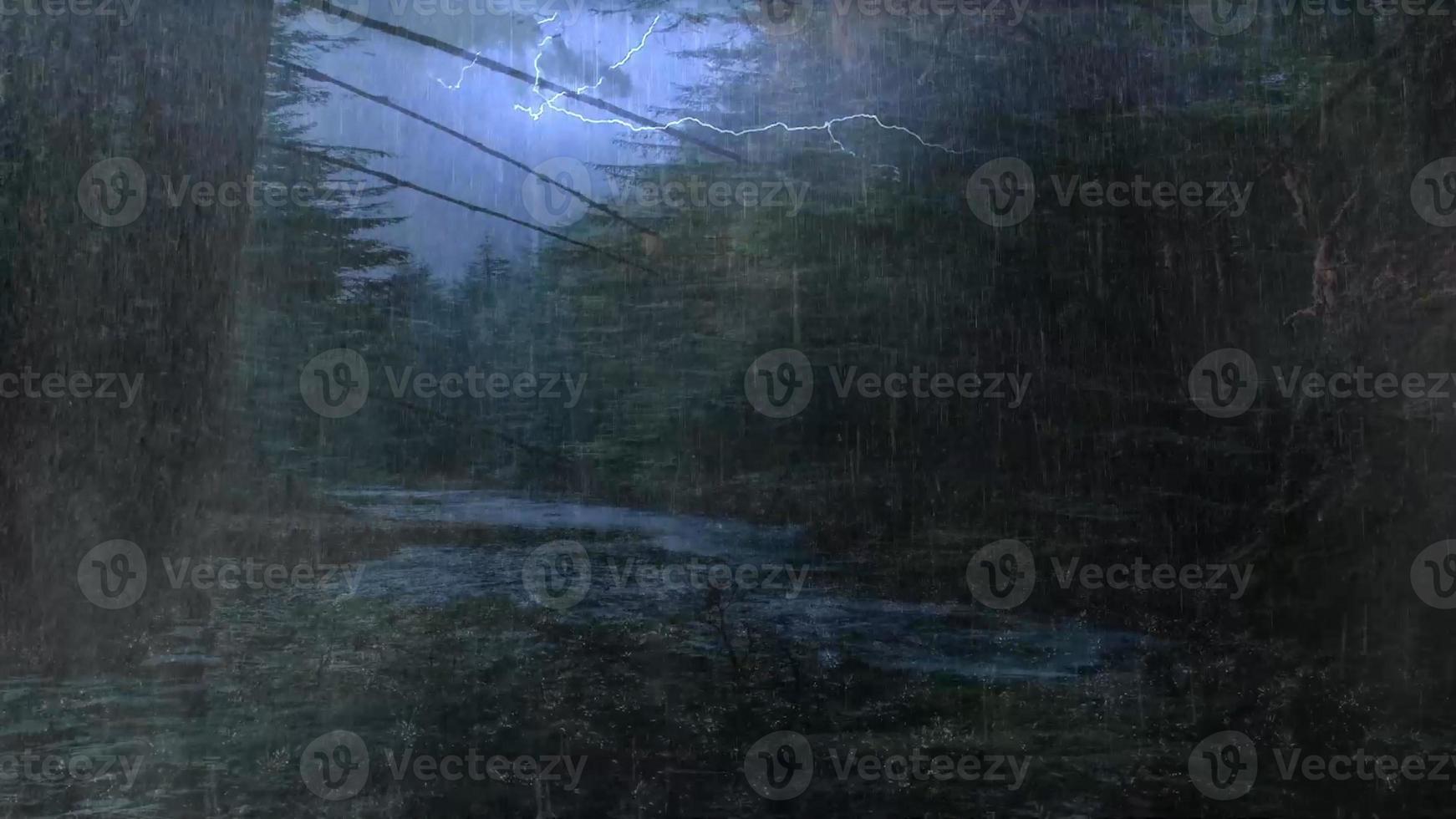 morning mist in the forest - Beautiful landscape - Drawing meadow in tropical forest photo