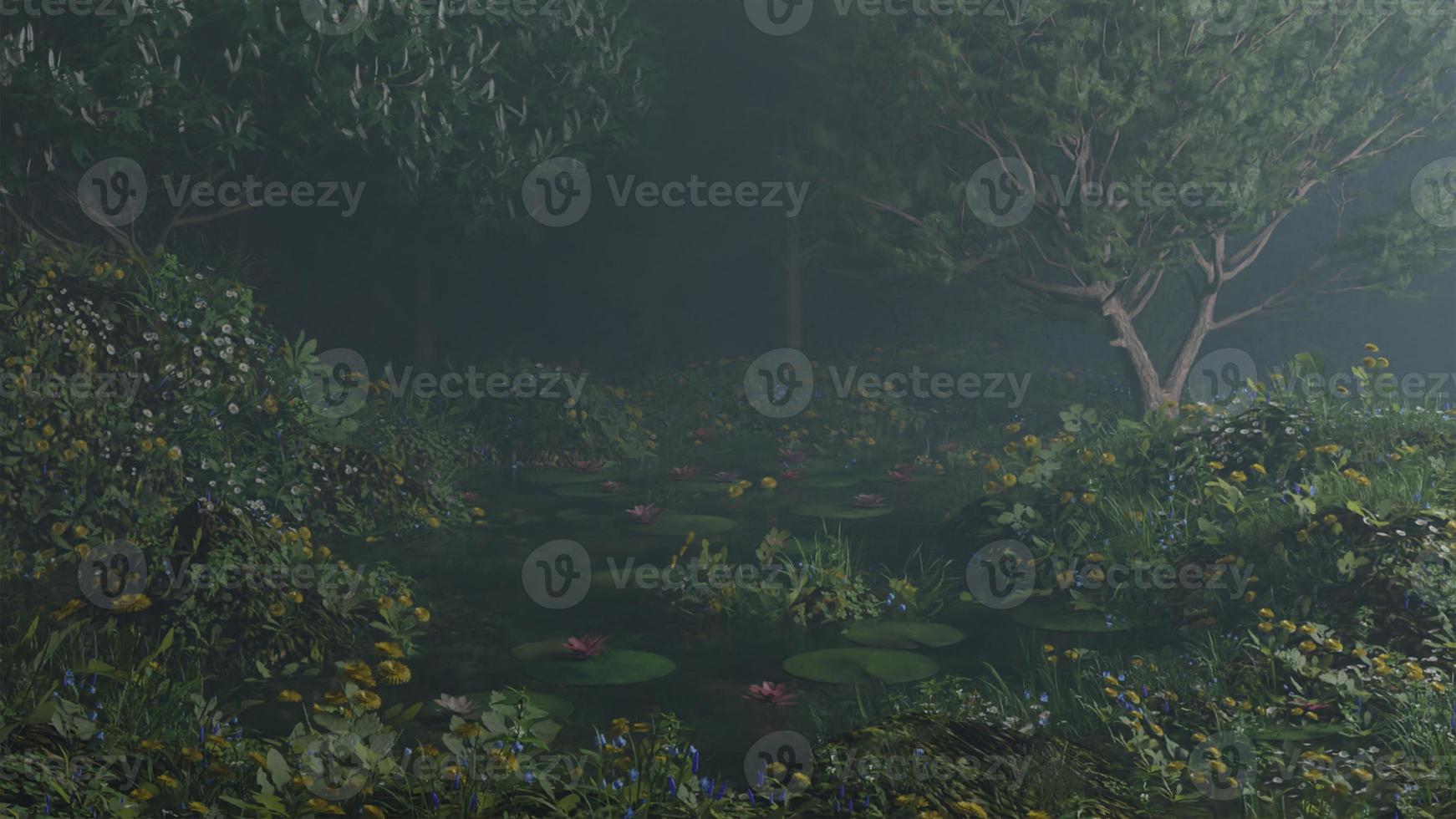 morning mist in the forest - Beautiful landscape - Drawing meadow in tropical forest photo