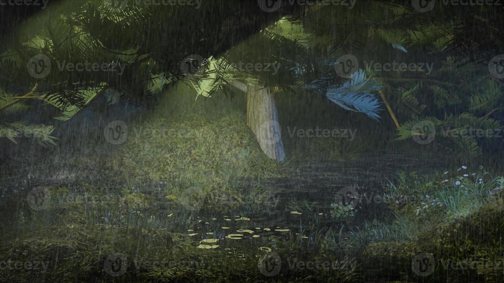 morning mist in the forest - Beautiful landscape - Drawing meadow in tropical forest photo