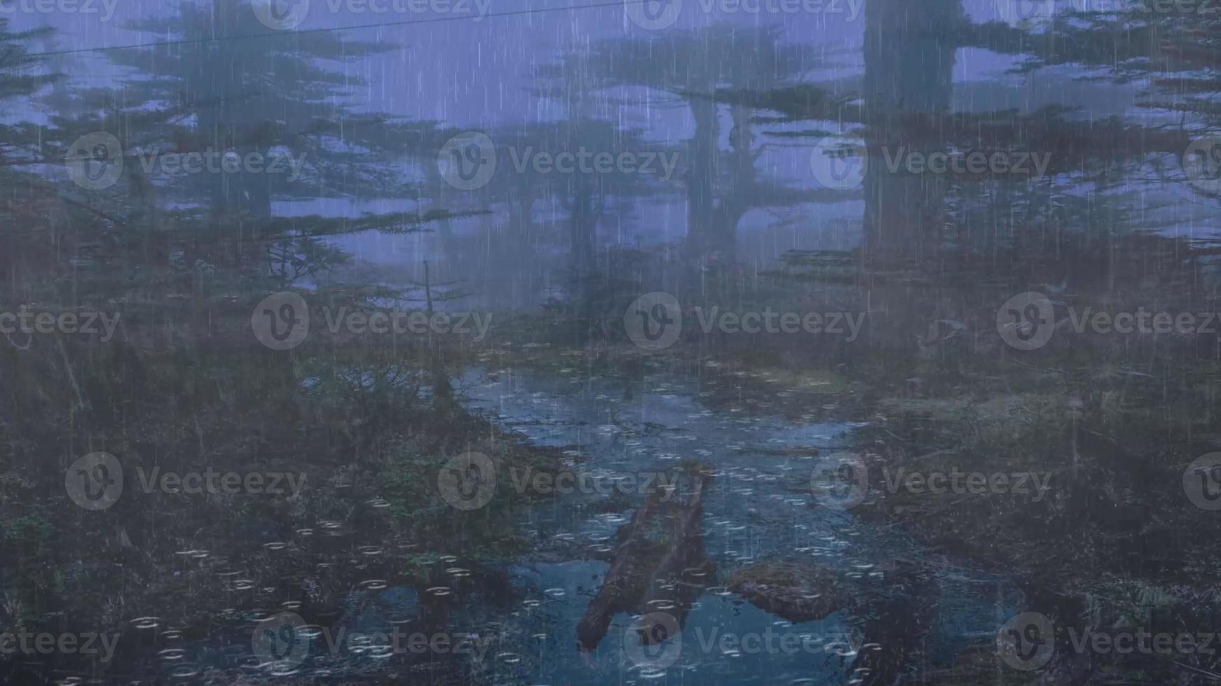 morning mist in the forest - Beautiful landscape - Drawing meadow in tropical forest photo