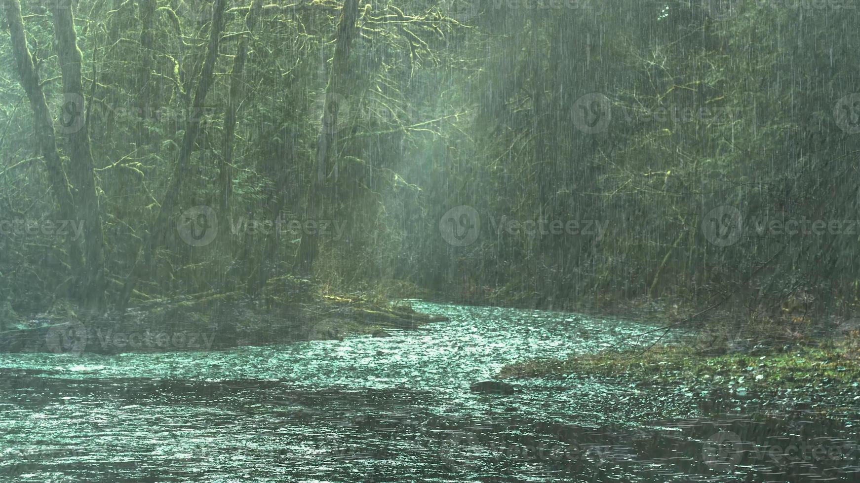 morning mist in the forest - Beautiful landscape - Drawing meadow in tropical forest photo