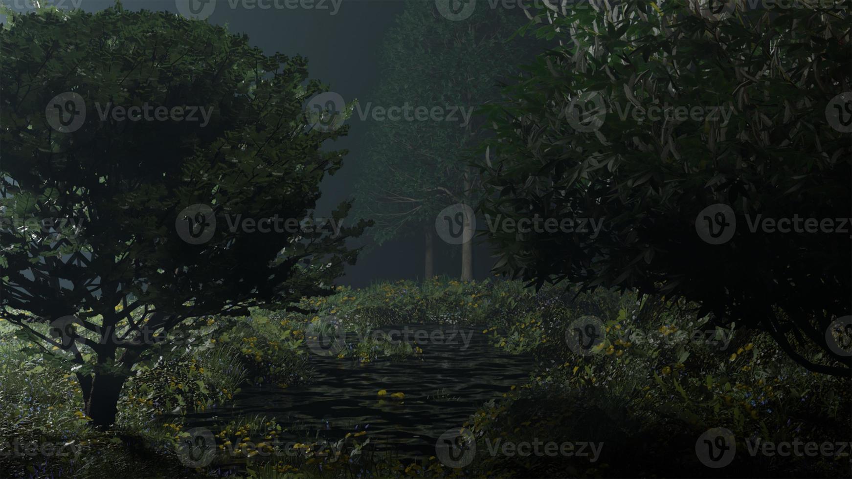 morning mist in the forest - Beautiful landscape - Drawing meadow in tropical forest photo