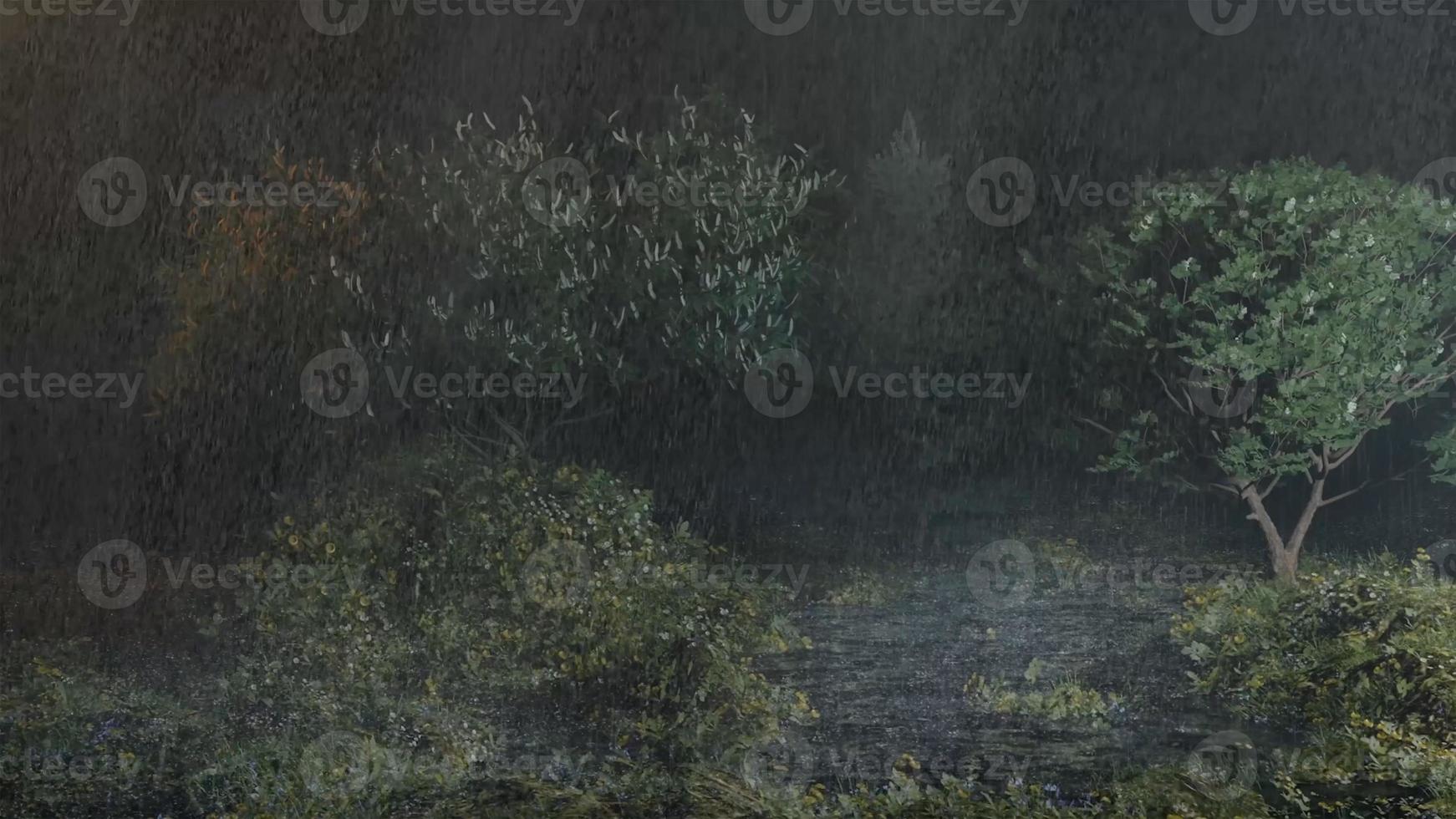morning mist in the forest - Beautiful landscape - Drawing meadow in tropical forest photo