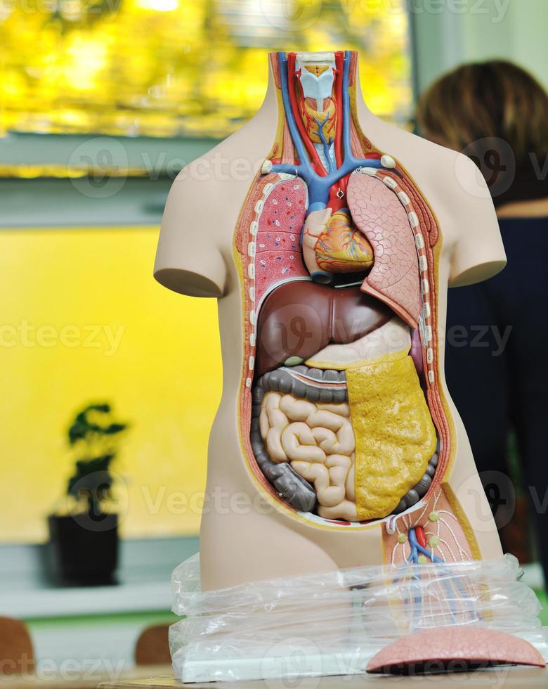 learn biology in school photo
