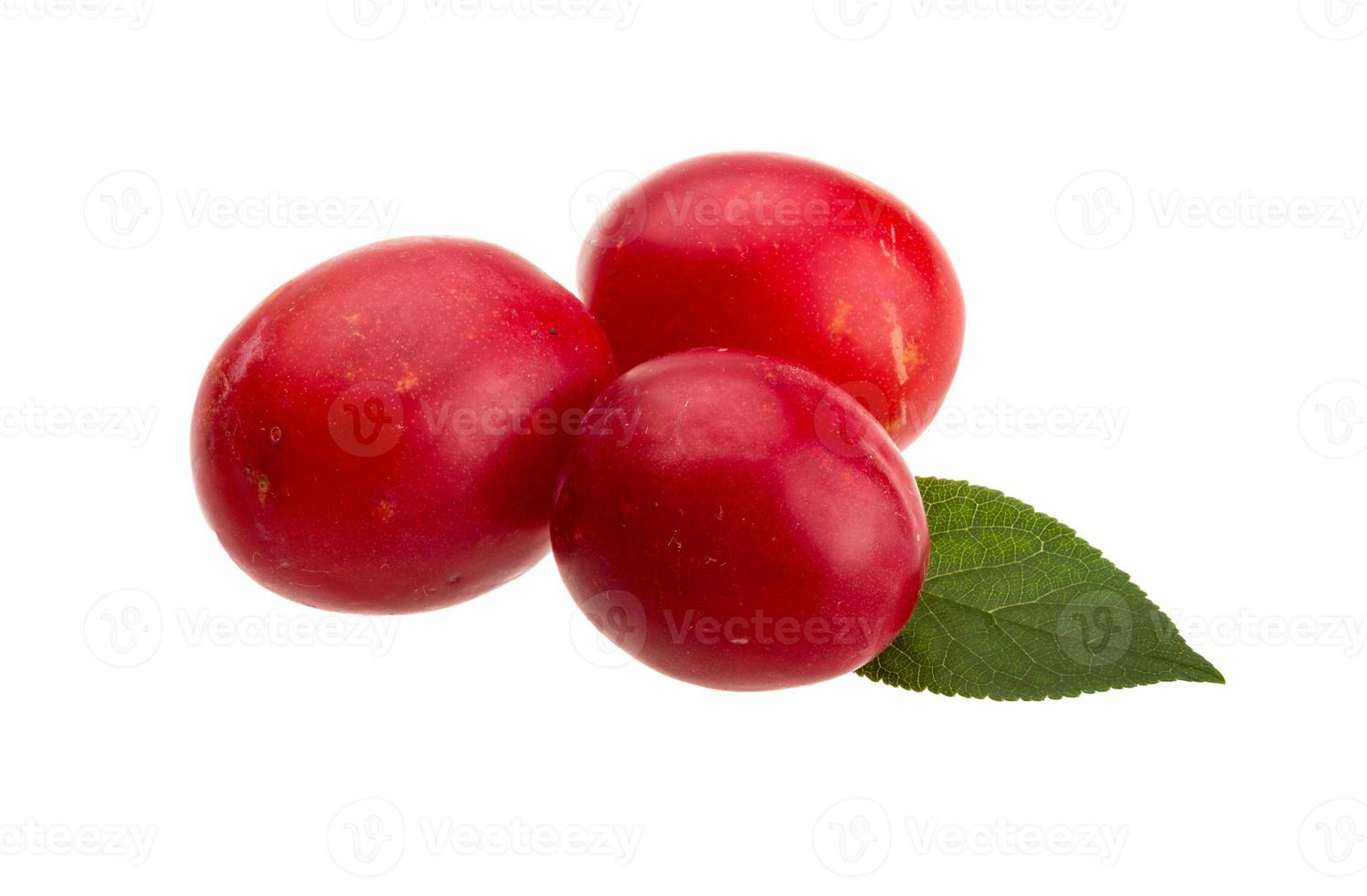 Damson plum on white background photo