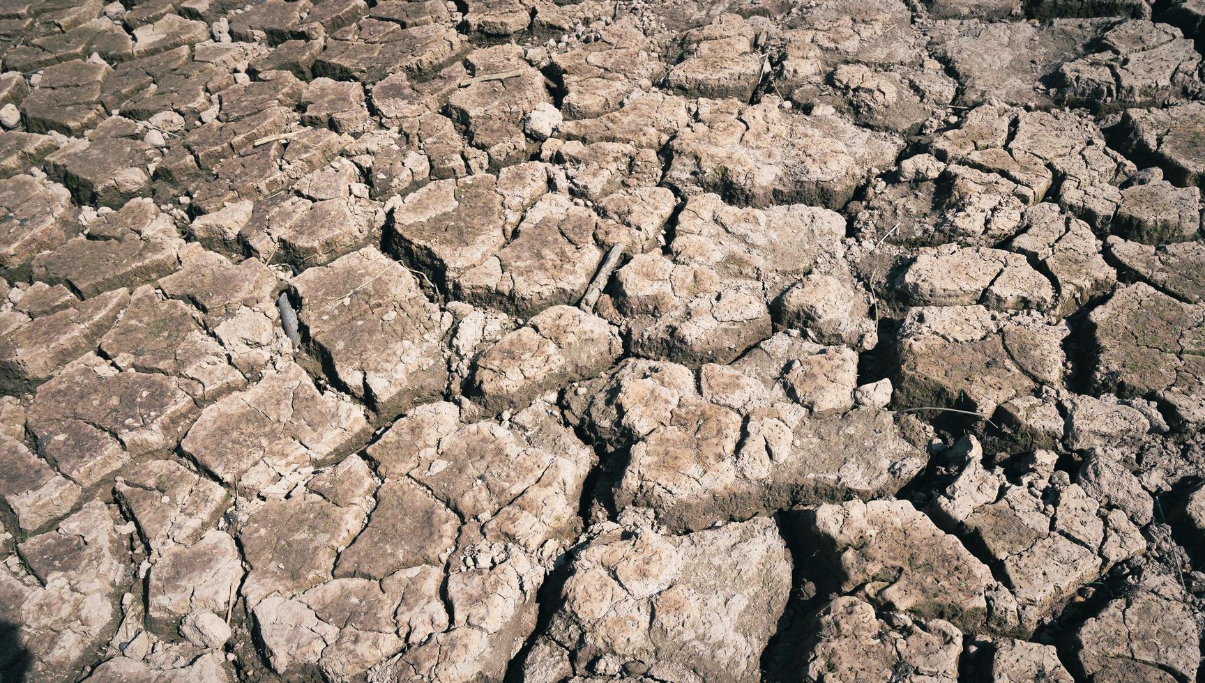 Dried cracked earth soil ground texture background, pattern of drought lack of water of nature old broken. photo