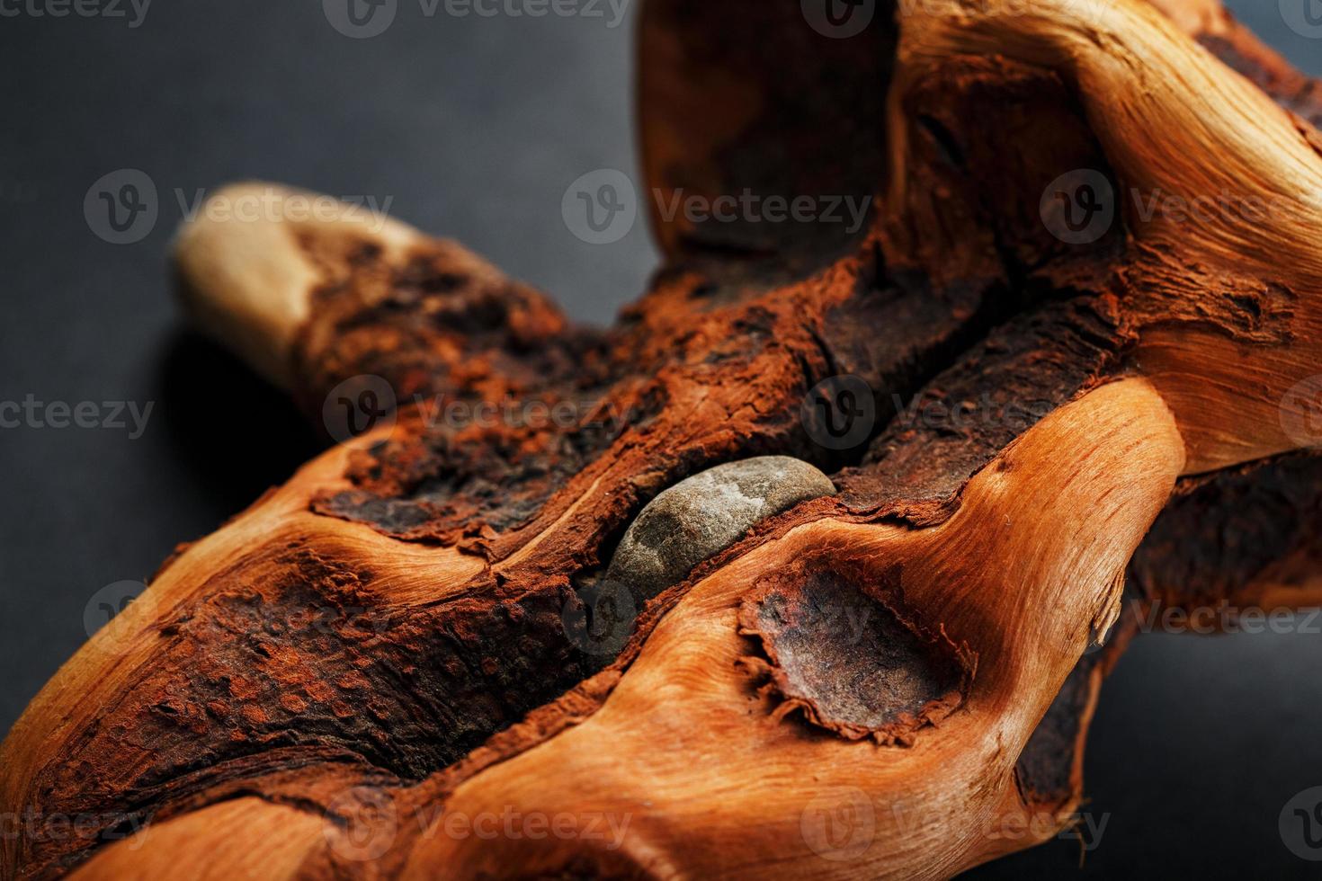 Textured curved wooden snag of brown color with texture as a background photo