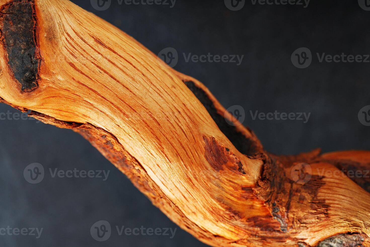 Graceful curved wood Driftwood on a black background 10711663 Stock