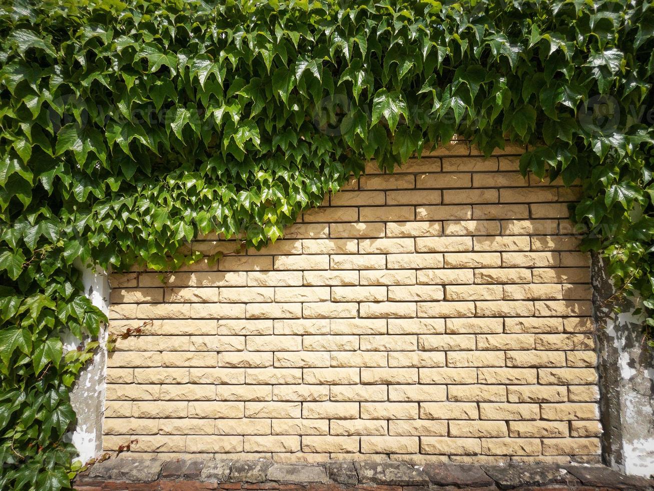 The fence is made of beige textured brick covered with plants photo