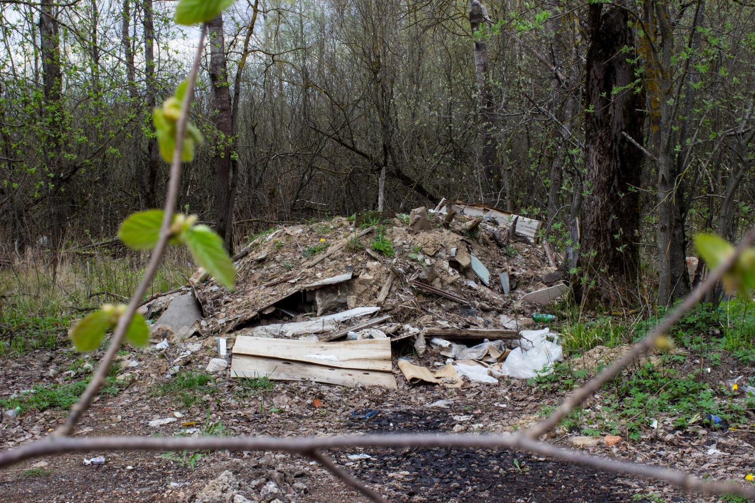 Garbage dump in the forest near the road photo