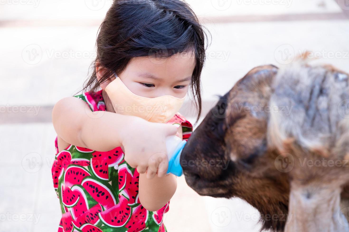 Adorable girls are happy to feed the animals. Child wearing orange