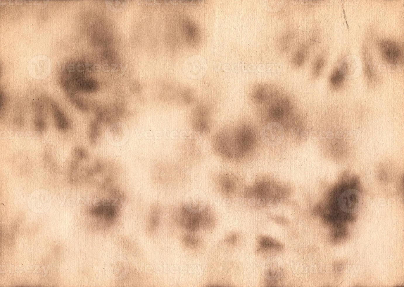 Abstract burned paper background. Vintage style parchament effect. Ripped edges frame photo