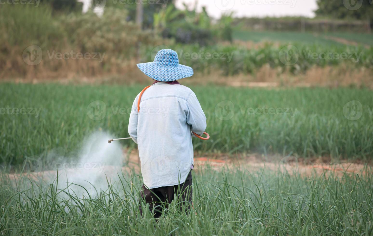 farmer spraying pesticide photo