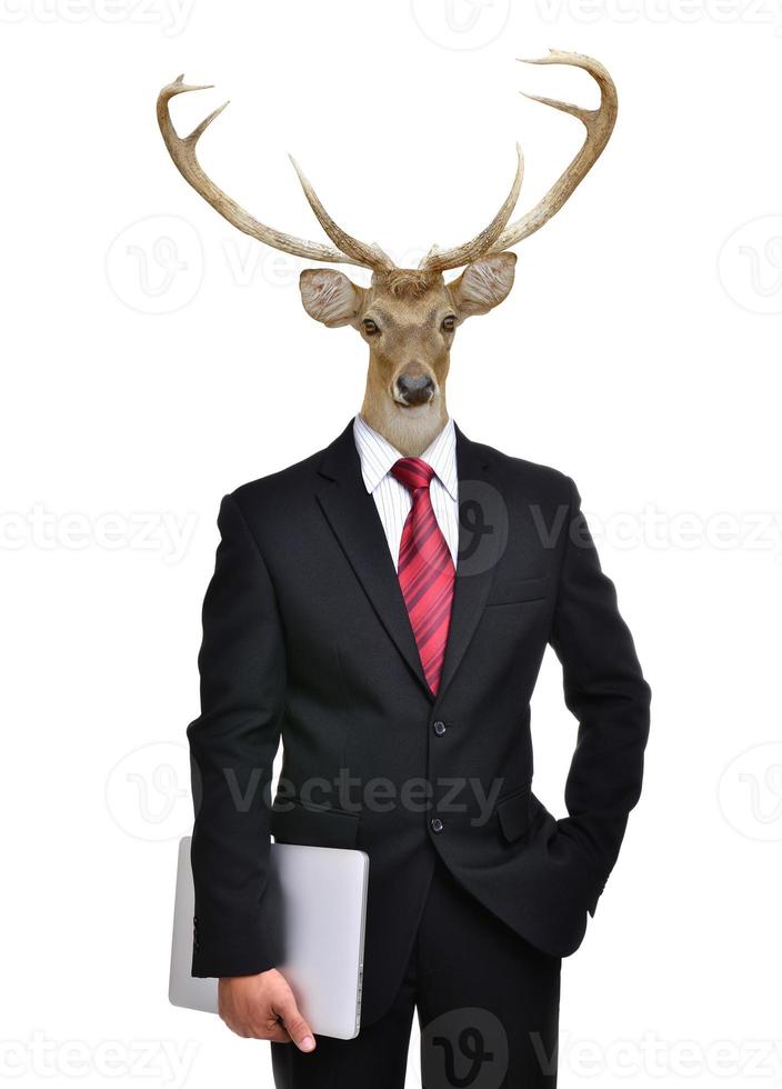 business man with animal head isolated photo