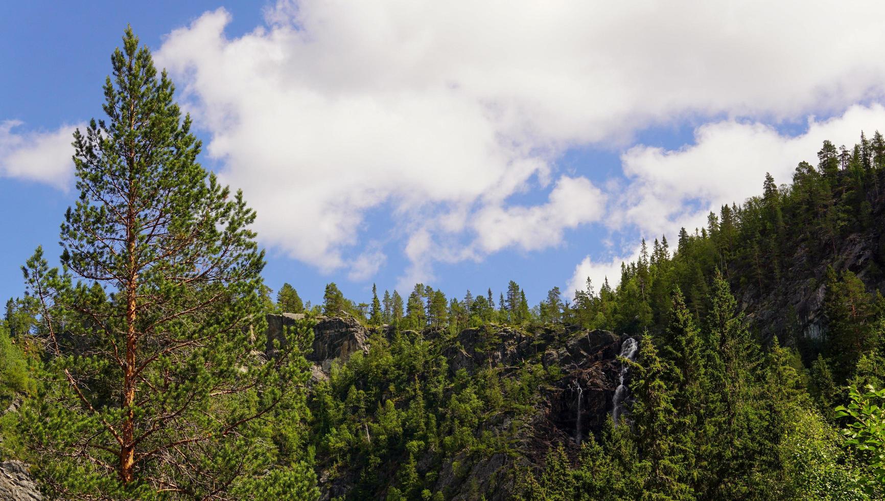 hermoso paisaje de la cubierta de noruega con alto bosque verde con nubes azules en el fondo foto