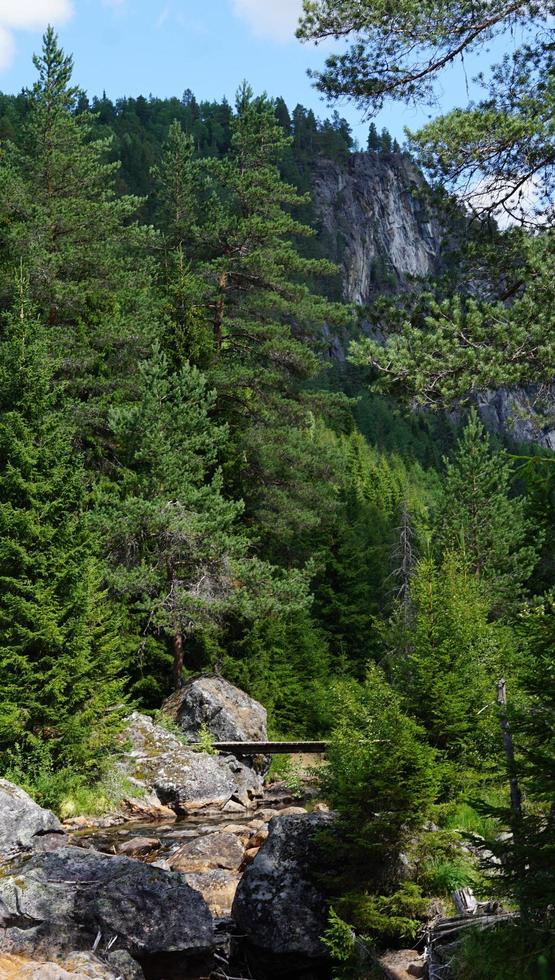 hermoso paisaje noruego con un pequeño puente con fondo de bosque verde y altas montañas azules detrás de árboles altos foto