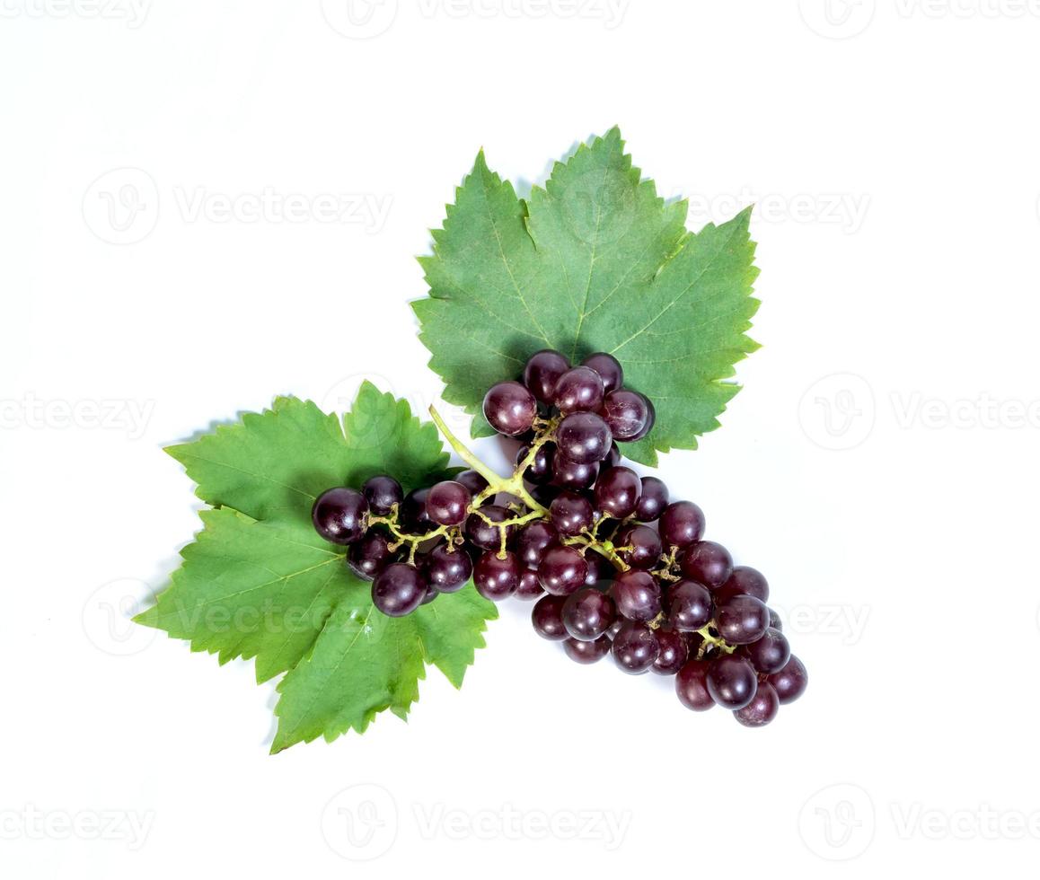 red grapes and leaves on background photo