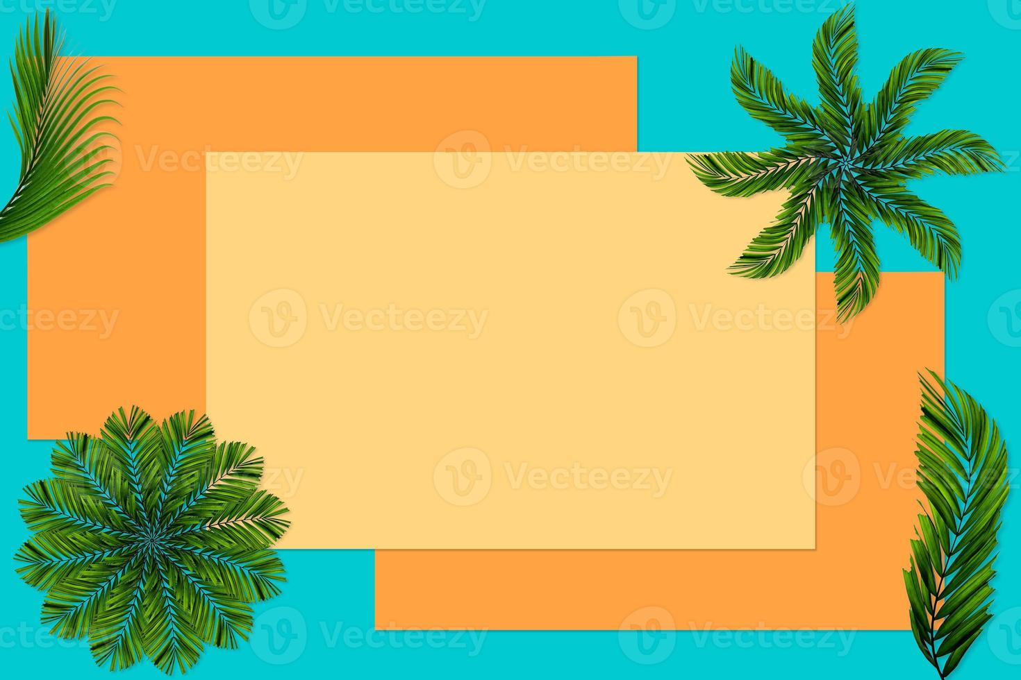 Green palm leaves pattern for nature concept,tropical leaf on orange and teal paper background photo