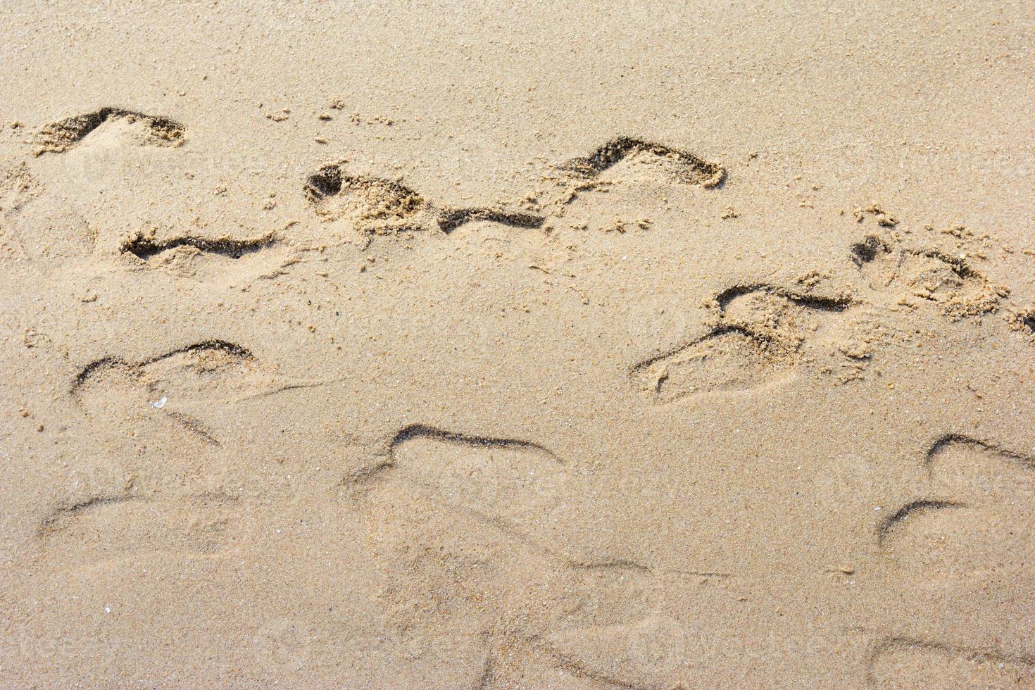 Foot prints on a sandy beach photo