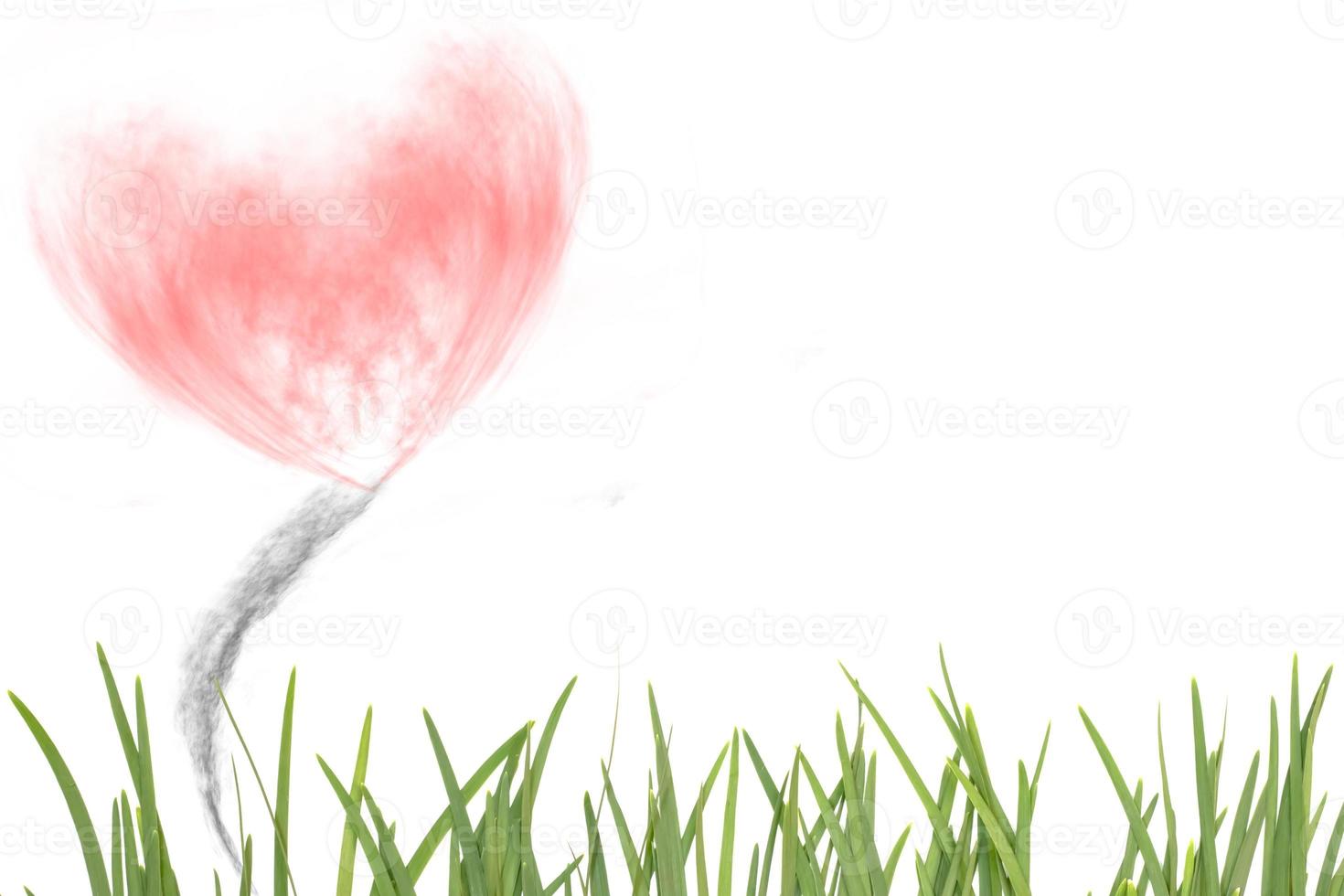garlic leaf with smoke-shaped heart,abstract background photo