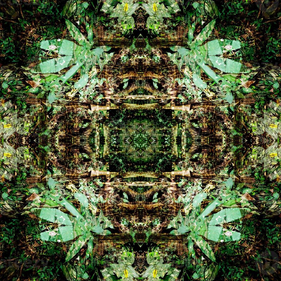 Green leaves pattern with drop of water,autumn plant leaf background,seamless pattern photo
