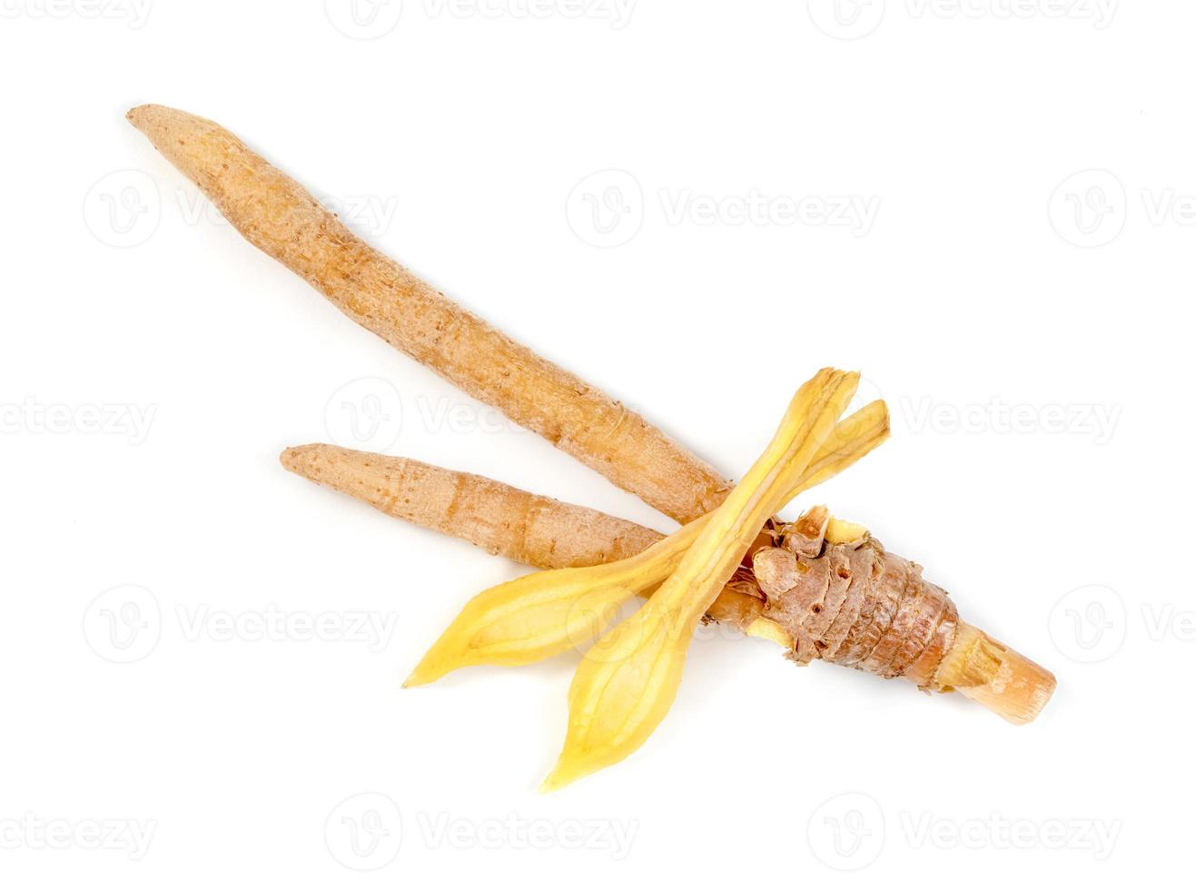 finger root or Chinese's Ginger sliced isolated on the white background. photo