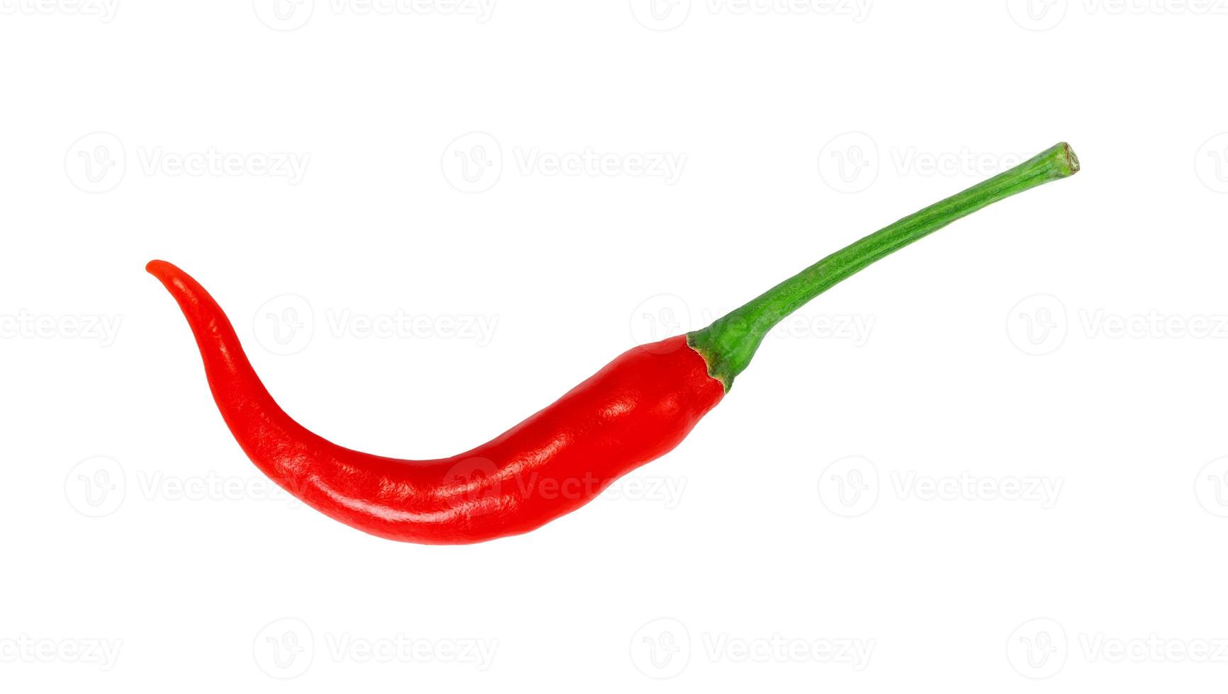 red chili pepper isolated on white background photo