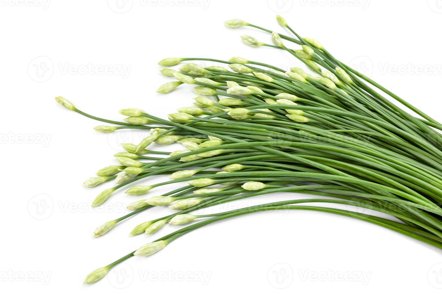 garlic chive in threshing basket isolated on white. photo