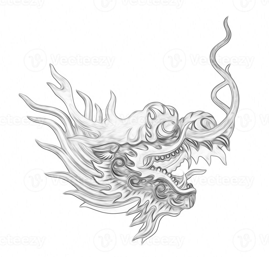 head dragon painting isolated on white background photo