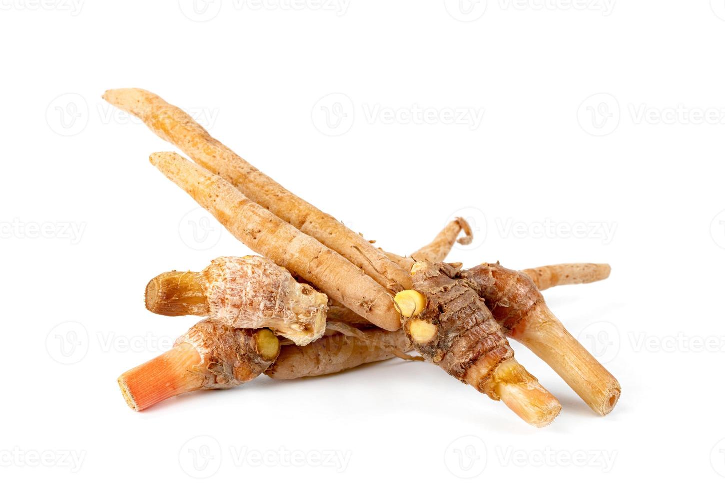 finger root or Chinese's Ginger isolated on the white background. photo