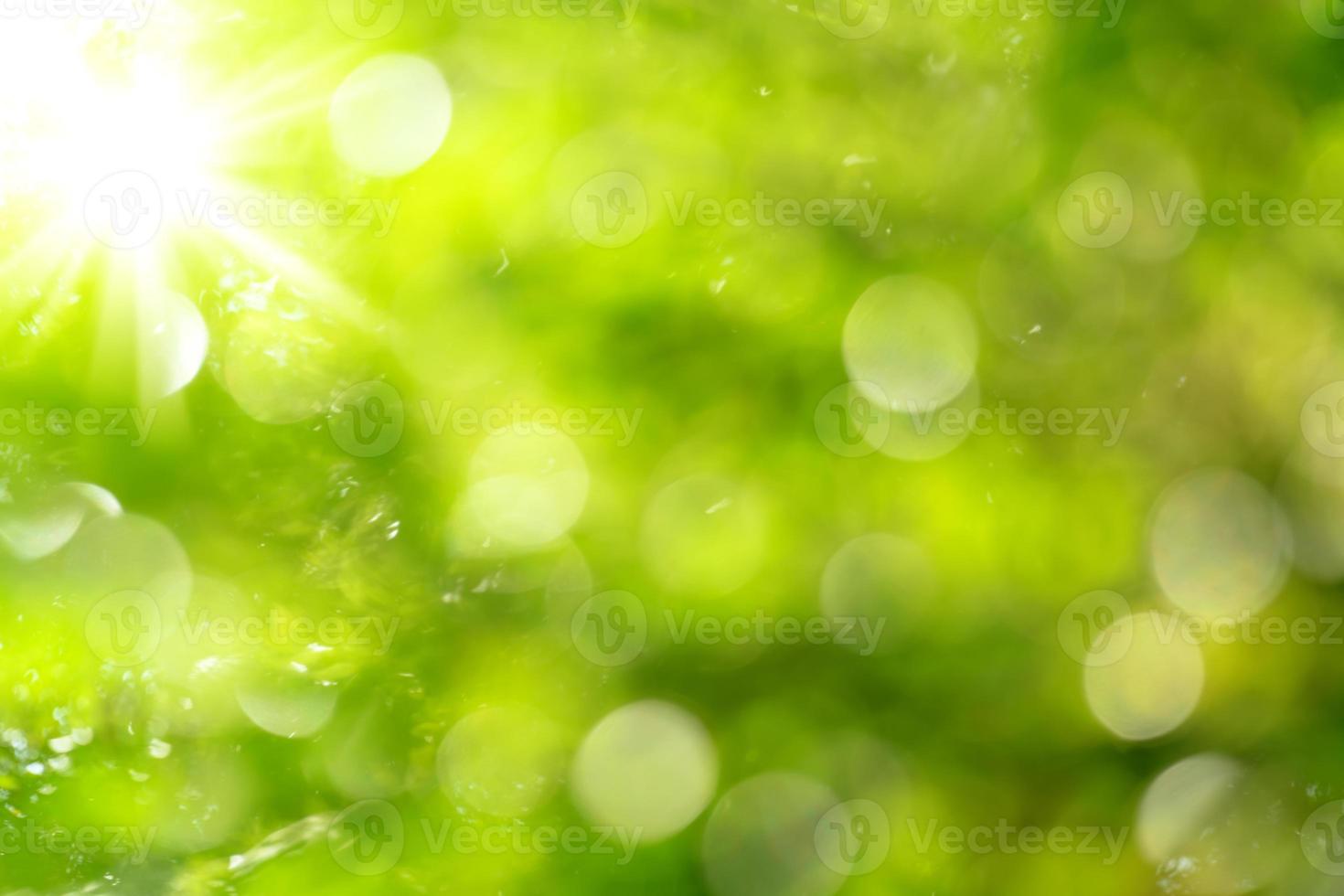 natural green bokeh abstract background,blurred textured photo