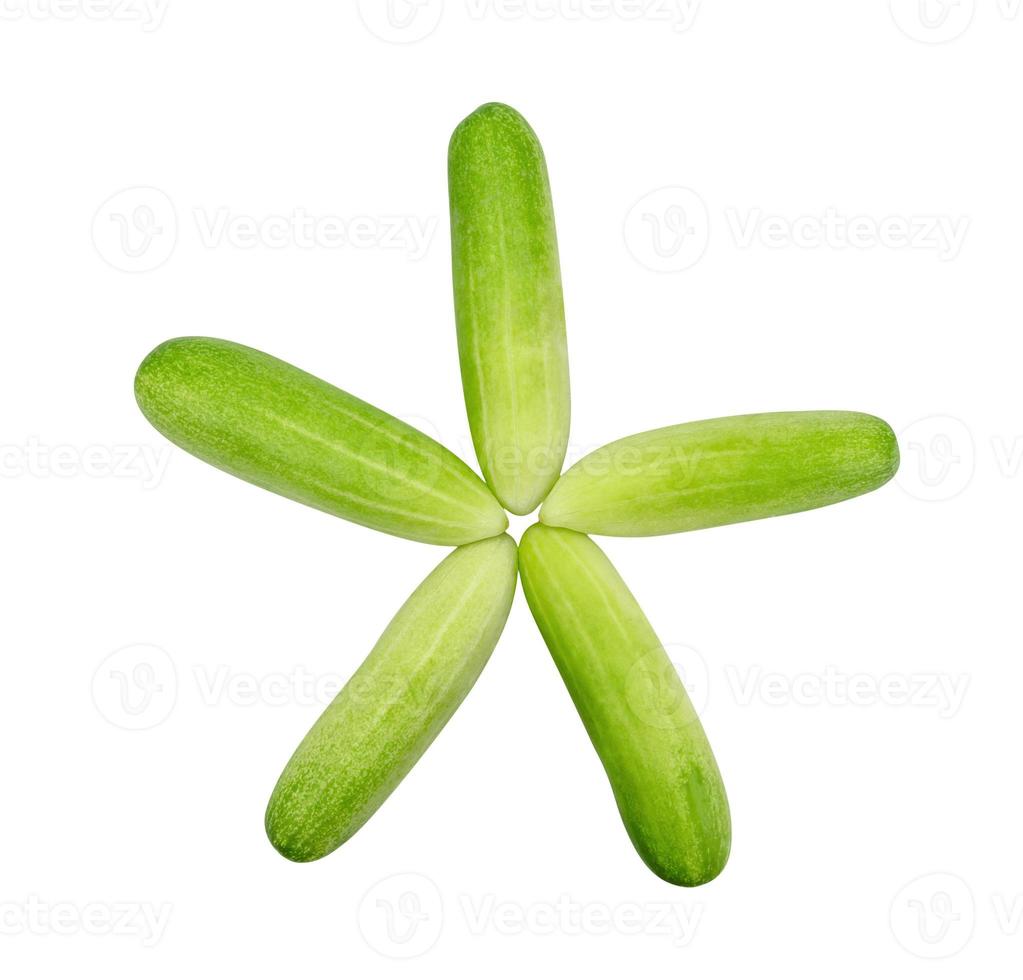 cucumber isolated on white background,clipping path photo