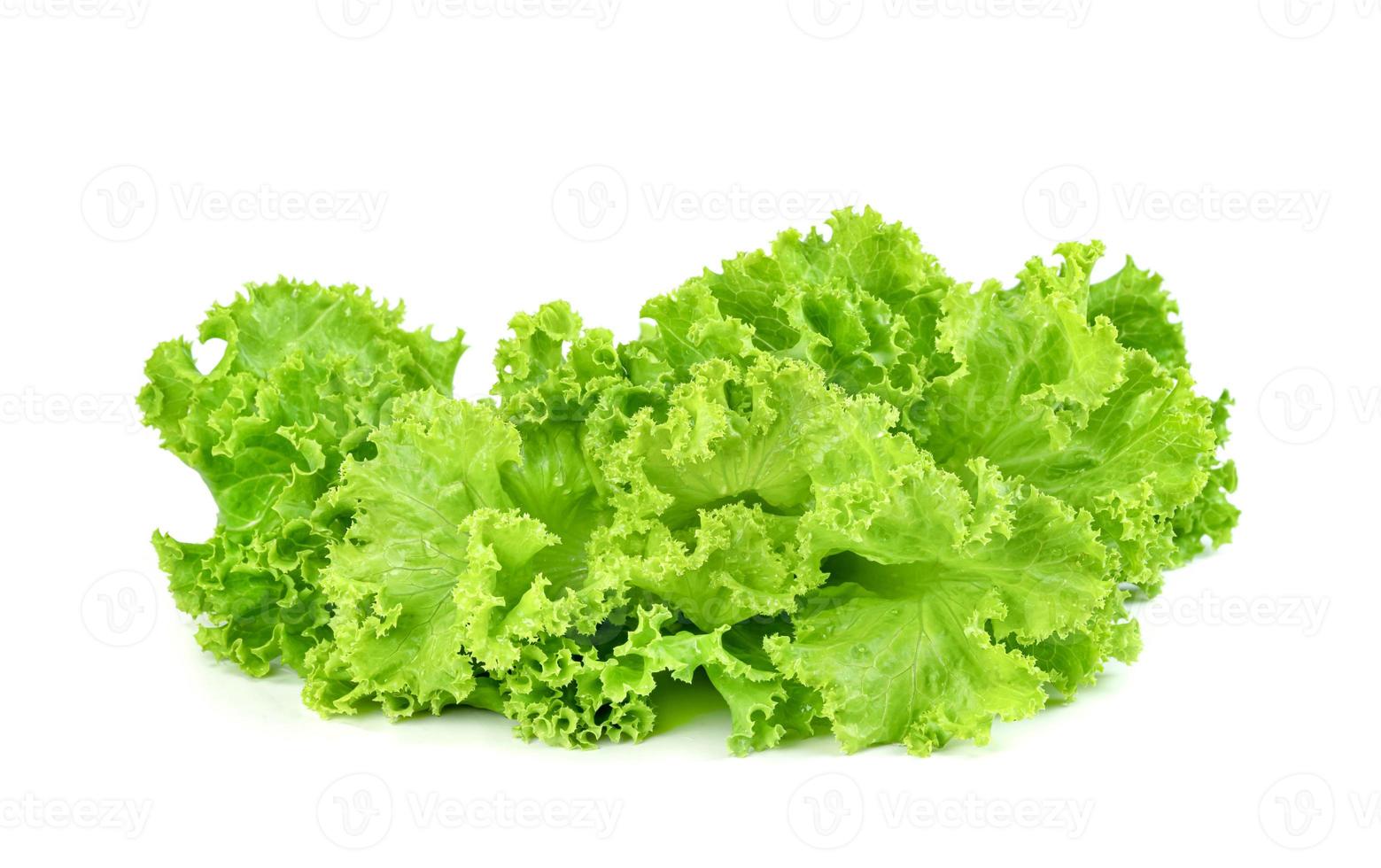 Lettuce leaf isolated on white background ,Green leaves pattern ,Salad ingredient photo