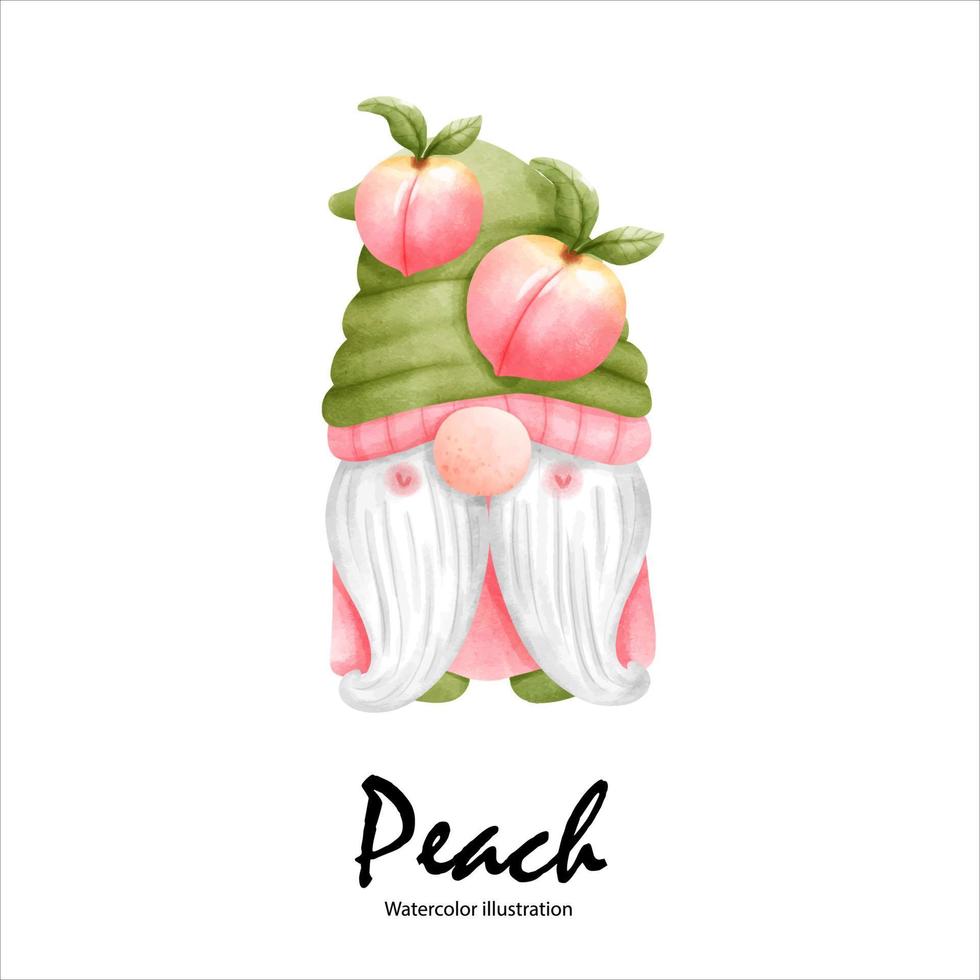 Watercolor peaches, peach gnome watercolor fruit. vector illustration