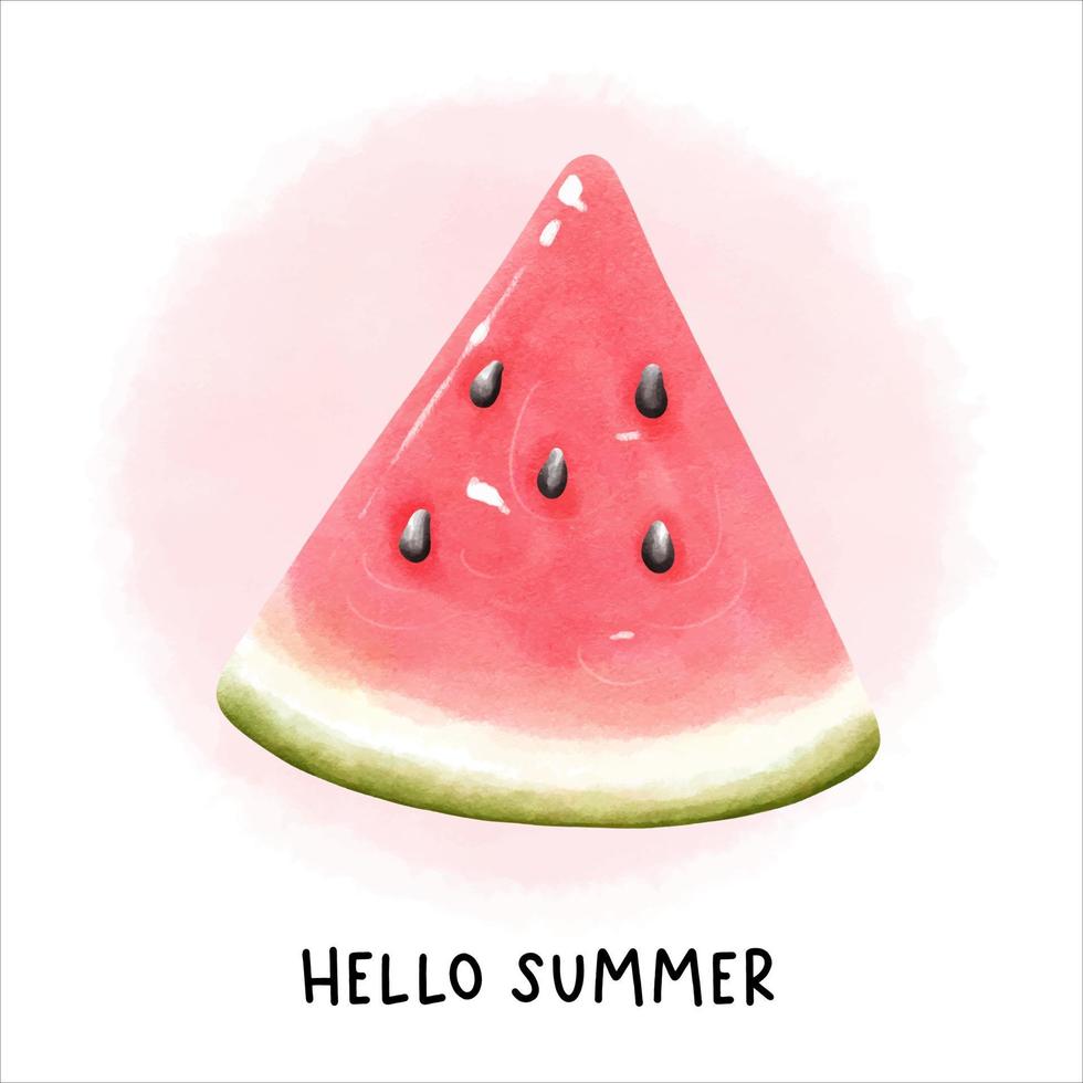 watercolor watermelon, fruit vector illustration
