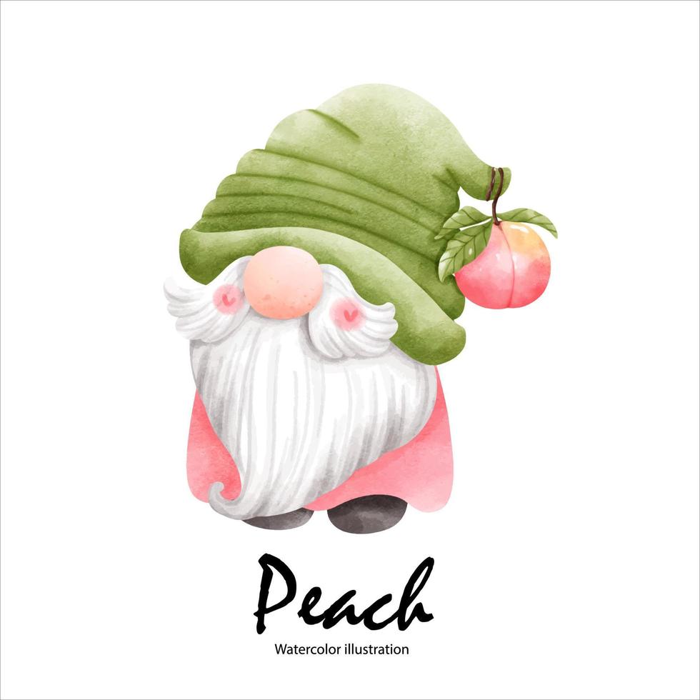 Watercolor peaches, peach gnome watercolor fruit. vector illustration