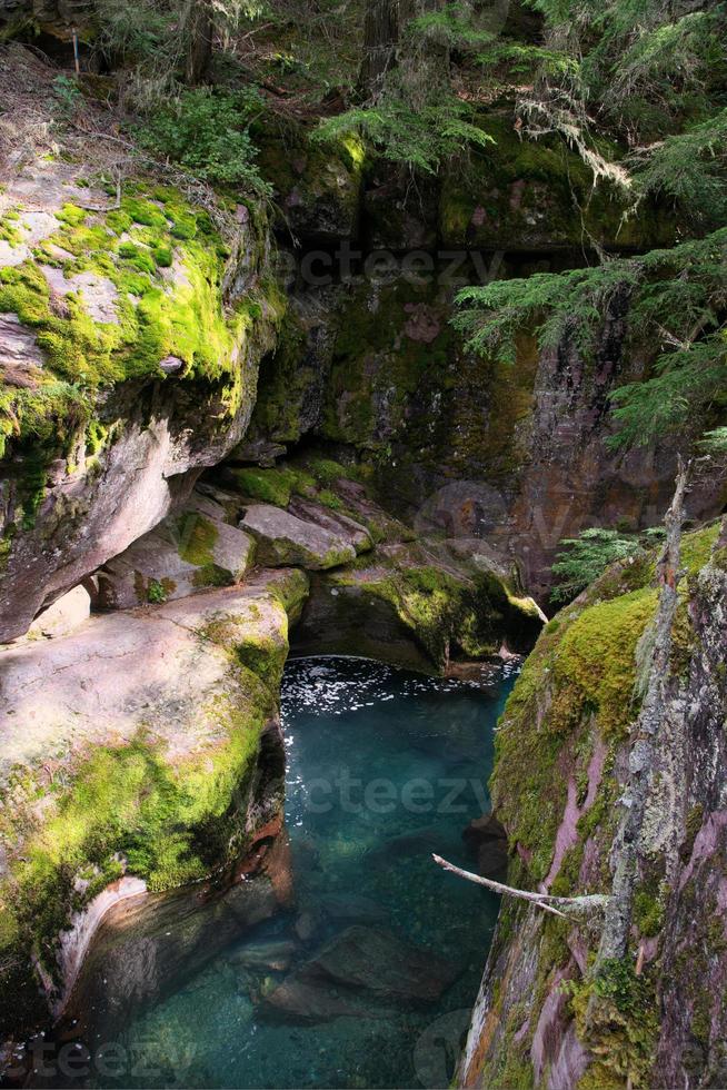 vista de avalanche creek en montana foto