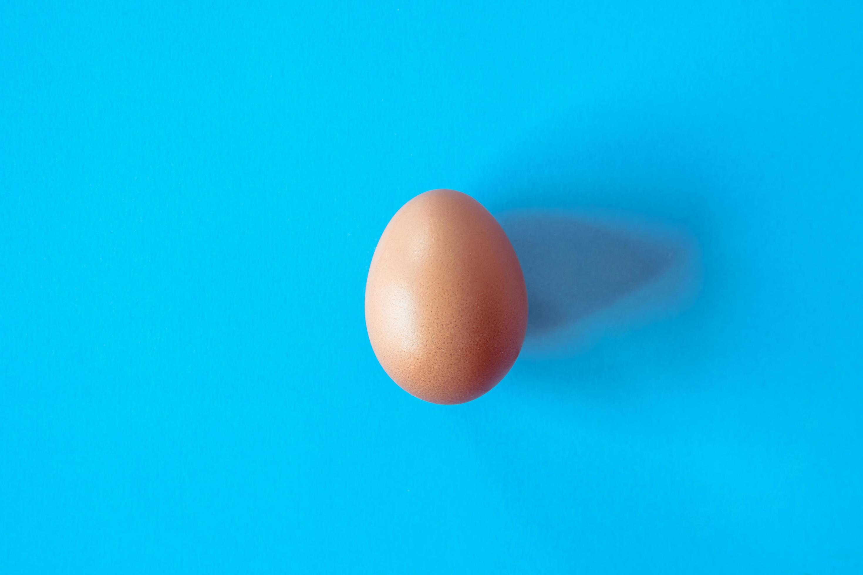 Egg on blue background. 10717729 Stock Photo at Vecteezy