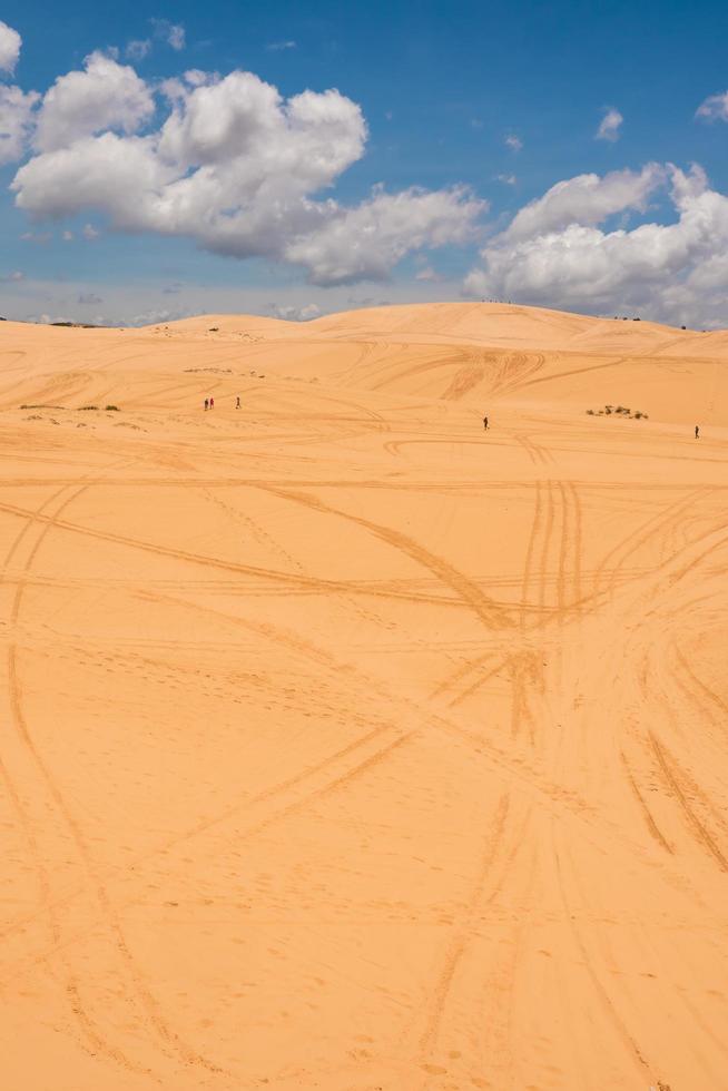 dunas de arena amarilla en mui ne es un popular destino turístico de vietnam foto