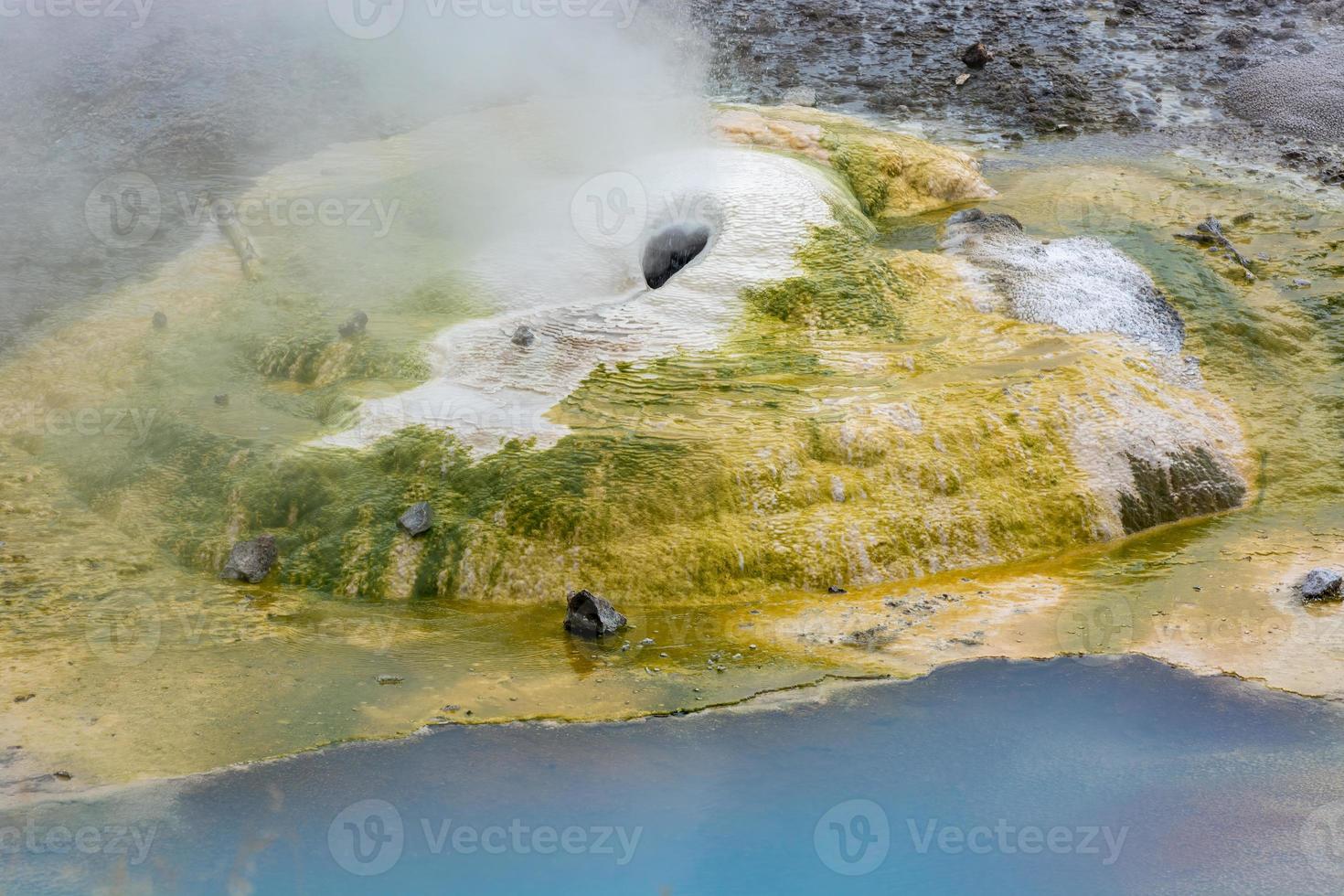 cuenca del géiser norris en el parque nacional de yellowstone foto