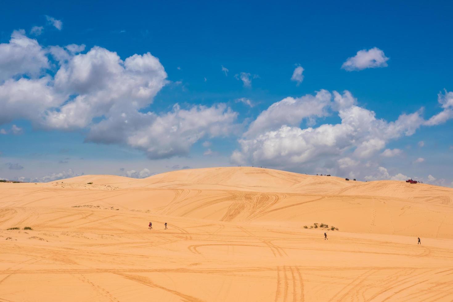 dunas de arena amarilla en mui ne es un popular destino turístico de vietnam foto