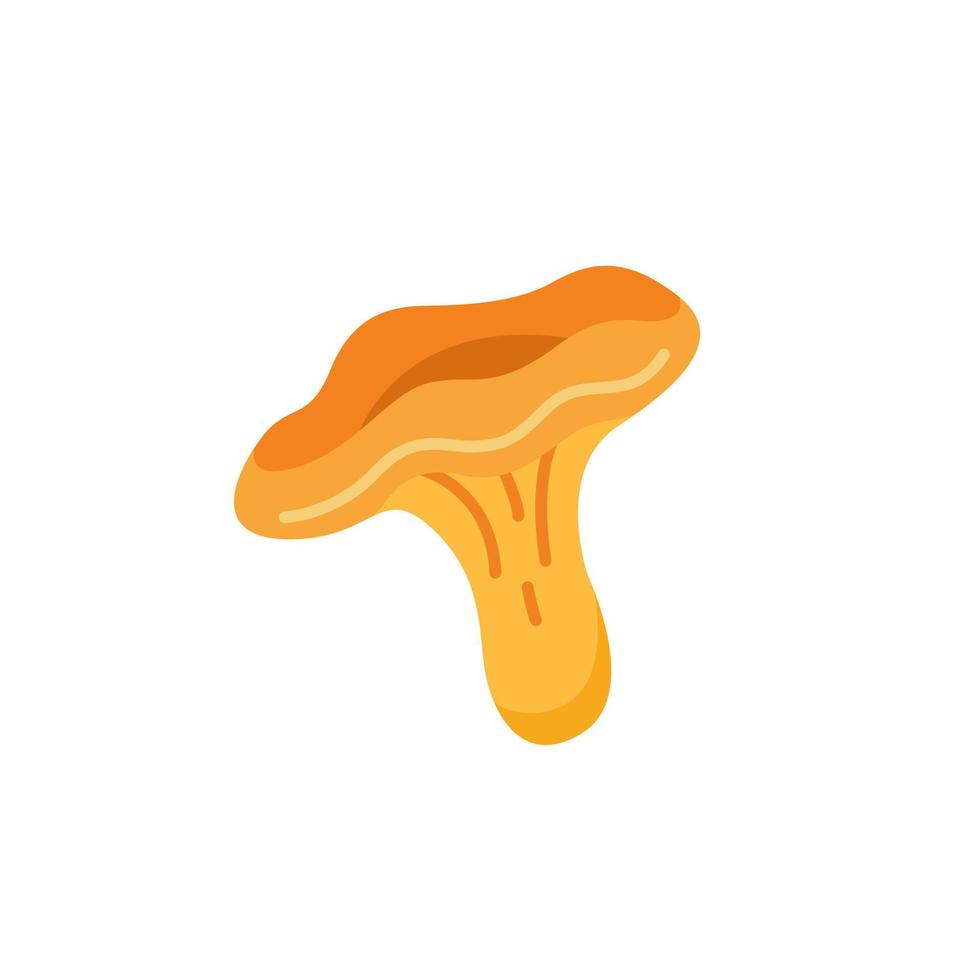 Mushroom chanterelle in cartoon style isolated on a white background. Vector autumn illustration.