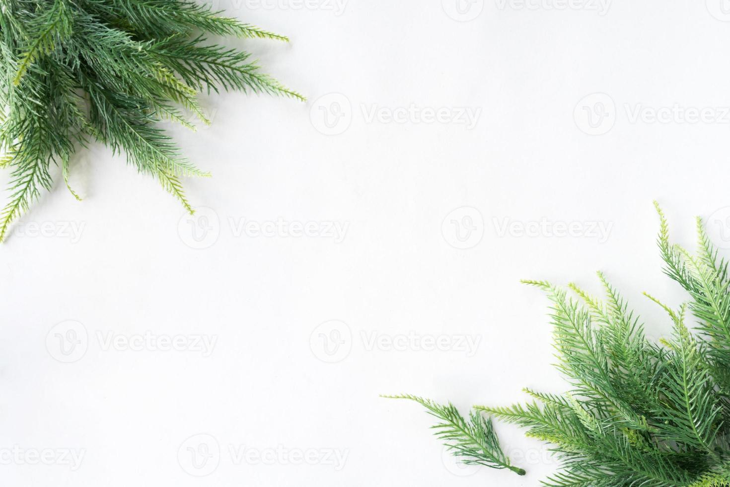 Christmas tree on a white background, free space for text photo